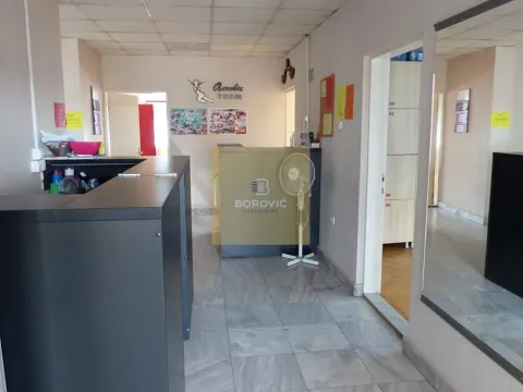 Prodaja, poslovni prostor, 273m², Banovo Brdo, Beograd - image 4