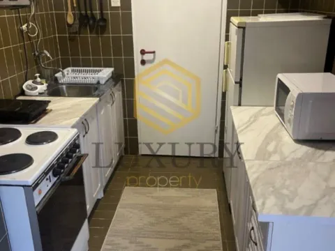 Izdavanje, jednosoban stan, 56m², Preko Morače, Podgorica - image 10