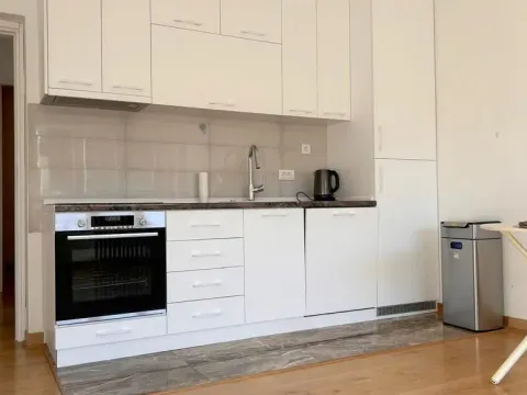 Izdavanje, dvosoban stan, 50m², Savski Venac, Beograd - image 3