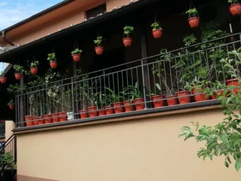 Prodaja, kuća, 350m², Voždovac Sve Podlokacije, Beograd - image 3