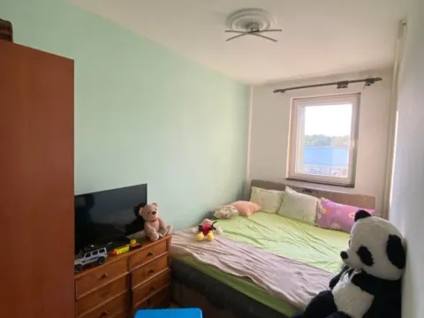 Prodaja, dvosoban stan, 60m², Šumice, Beograd - image 5