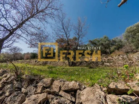 Prodaja, plac, 7125m², Herceg Novi, Crna Gora - image 4