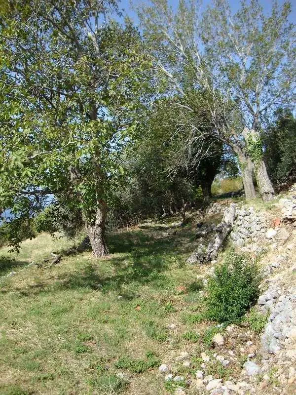 Zarasli plac sa drvećem i kamenim zidom.