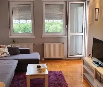 Izdavanje, jednosoban stan, 47m², Nova Detelinara, Novi Sad Sve Podlokacije - image 2