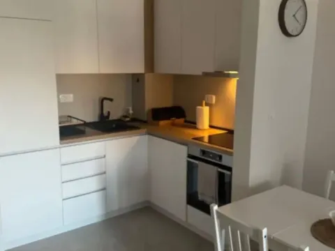 Izdavanje, jednosoban stan, 40m², Central Point, Podgorica - image 3