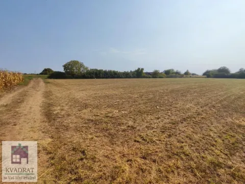 Sale, land lot, 6400m², Skela, Obrenovac - image 6