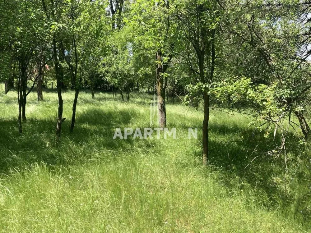 Prodaja, plac, 2436m², Knić, Srbija