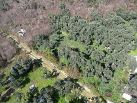 Sale, land lot, 15810m², Buljarica, Budva - image 24