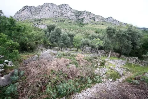 Pogled na zemljište sa drvećem i kamenitim pejzažom u pozadini. - image 7