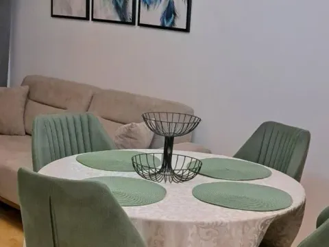 Izdavanje, dvosoban stan, 45m², Pantelej, Niš - image 3