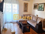 Izdavanje, jednosoban stan, 40m², Stari Aerodrom, Podgorica - image 2