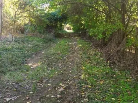 Sale, land lot, 13956m², Smederevo, Srbija - image 12