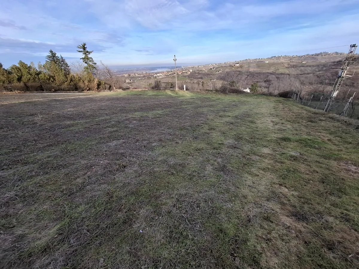 Prodaja, plac, 2400m², Ledinci, Petrovaradin