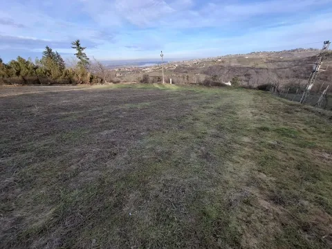 Prodaja, plac, 2400m², Ledinci, Petrovaradin - image 1