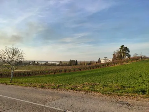 Prodaja, plac, 6000m², Beočin, Srbija - image 2