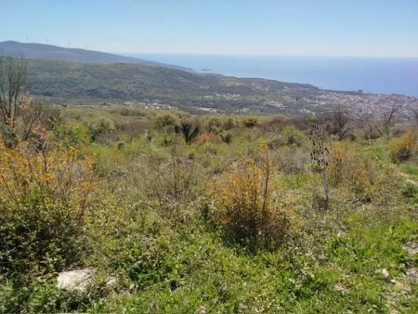 Sale, land lot, 728m², Pečurice, Bar