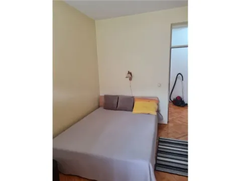 Prodaja, kuća, 410m², Pantelej, Niš - image 19