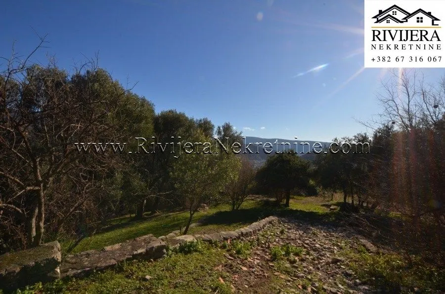 Prodaja, plac, 5345m², Zelenika, Herceg Novi