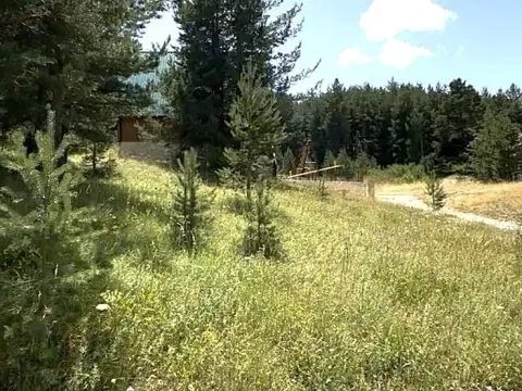 Prodaja, plac, 1193m², Borje, Žabljak - image 4