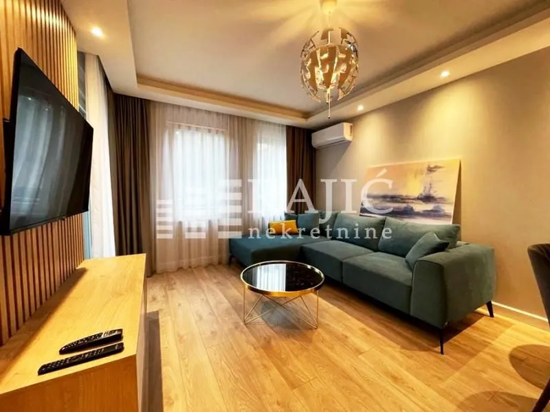 Modern living room with a sofa and TV.
