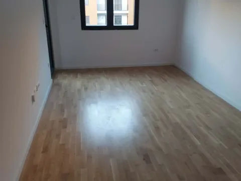 Izdavanje, jednosoban stan, 44m², Stari Aerodrom, Podgorica - image 2