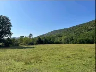 Prodaja, plac, 5181m², Ćurilac, Danilovgrad - image 4