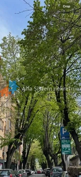 Izdavanje, dvosoban stan, 65m², Tašmajdan, Palilula Sve Podlokacije