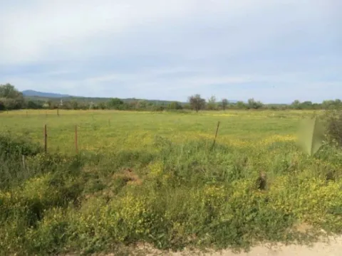 Prodaja, plac, 4074m², Pistula, Ulcinj - image 2