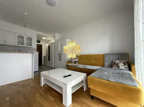 Izdavanje, garsonjera, 30m², Ljubović, Podgorica - image 2