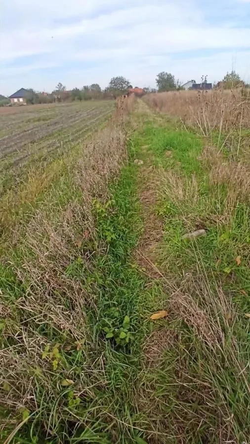 Prodaja, plac, 661m², Jagodina, Srbija