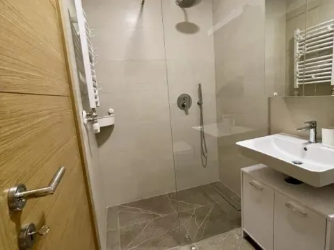 Izdavanje, jednosoban stan, 42m², Rotkvarija, Novi Sad Sve Podlokacije - image 8