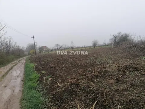 Sale, land lot, 13m², Novi Slankamen, Inđija