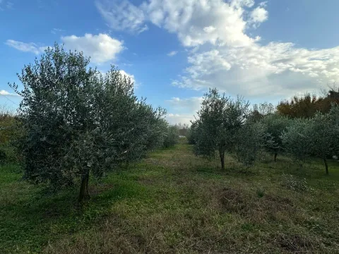 Prodaja, plac, 6000m², Ulcinj, Crna Gora - image 3