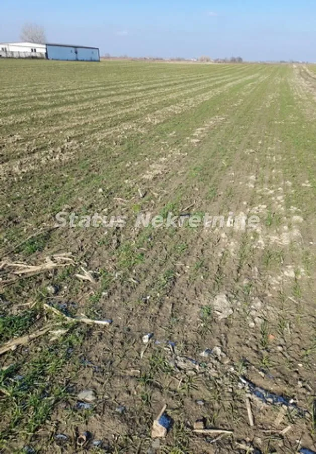 Prodaja, plac, 2500m², Futog, Novi Sad Sve Podlokacije