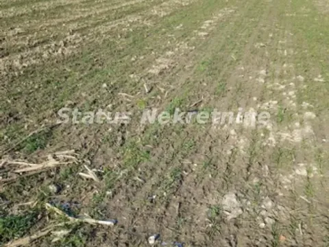 Prodaja, plac, 2500m², Futog, Novi Sad Sve Podlokacije - image 8