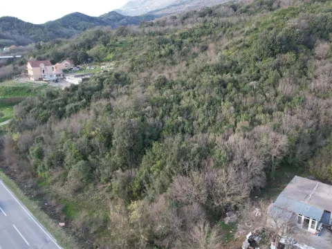 Prodaja, plac, 4000m², Radanovići, Kotor - image 2