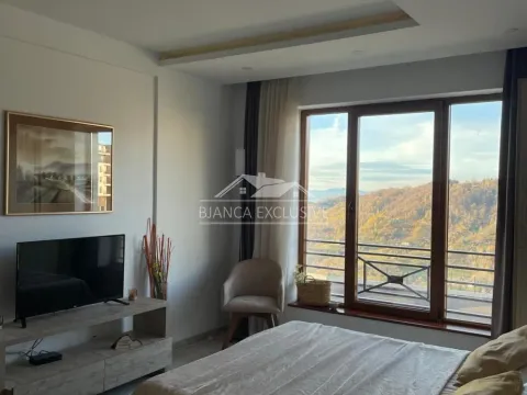 Prodaja, jednosoban stan, 28m², Kraljevi Čardaci, Kopaonik - image 2