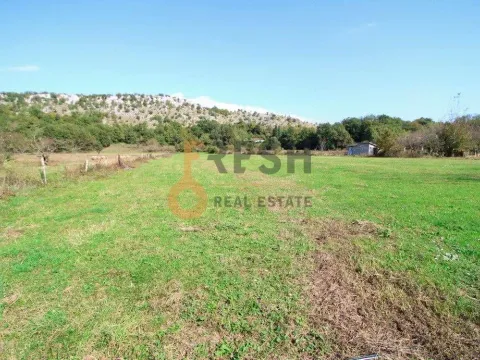 Prodaja, plac, 15000m², Danilovgrad, Crna Gora - image 4