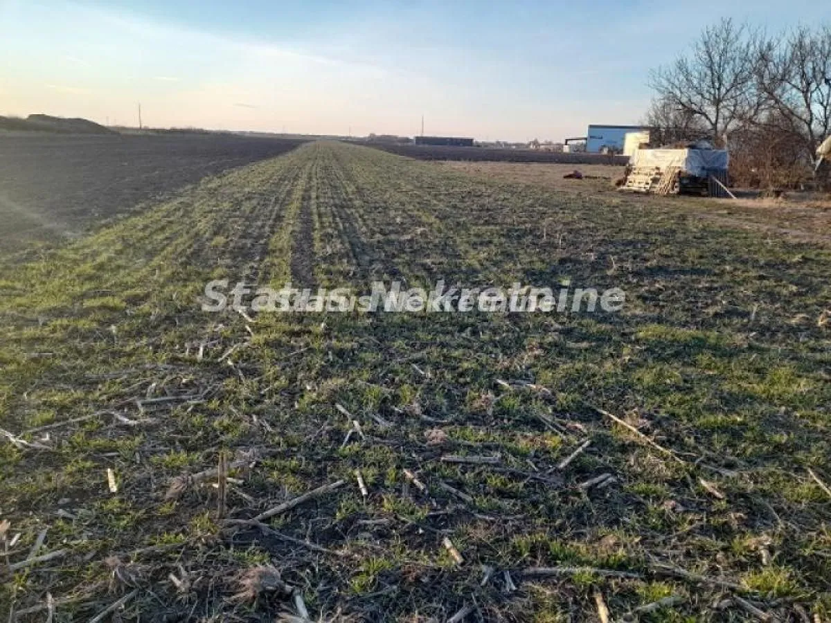 Prodaja, plac, 5640m², Rumenka, Novi Sad Sve Podlokacije