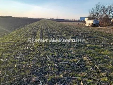 Prodaja, plac, 5640m², Rumenka, Novi Sad Sve Podlokacije - image 3