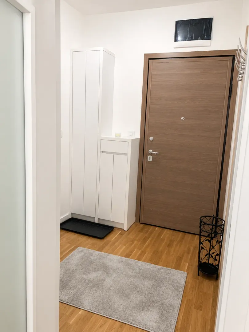 Rent, one bedroom apartment, 46m², Zabjelo, Podgorica