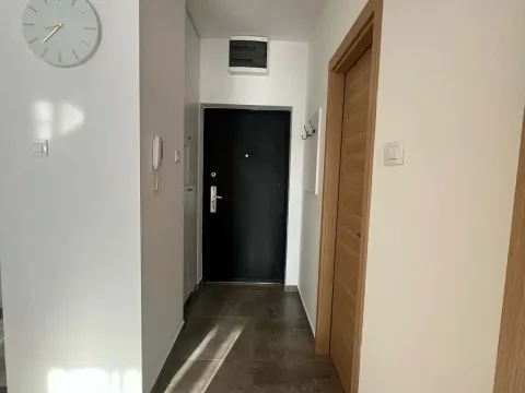 Izdavanje, jednosoban stan, 42m², Pobrežje, Podgorica - image 5