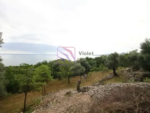 Prodaja, plac, 2650m², Reževići, Budva - image 1
