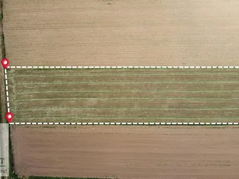 Prodaja, plac, 6500m², Zvečka, Obrenovac - image 4