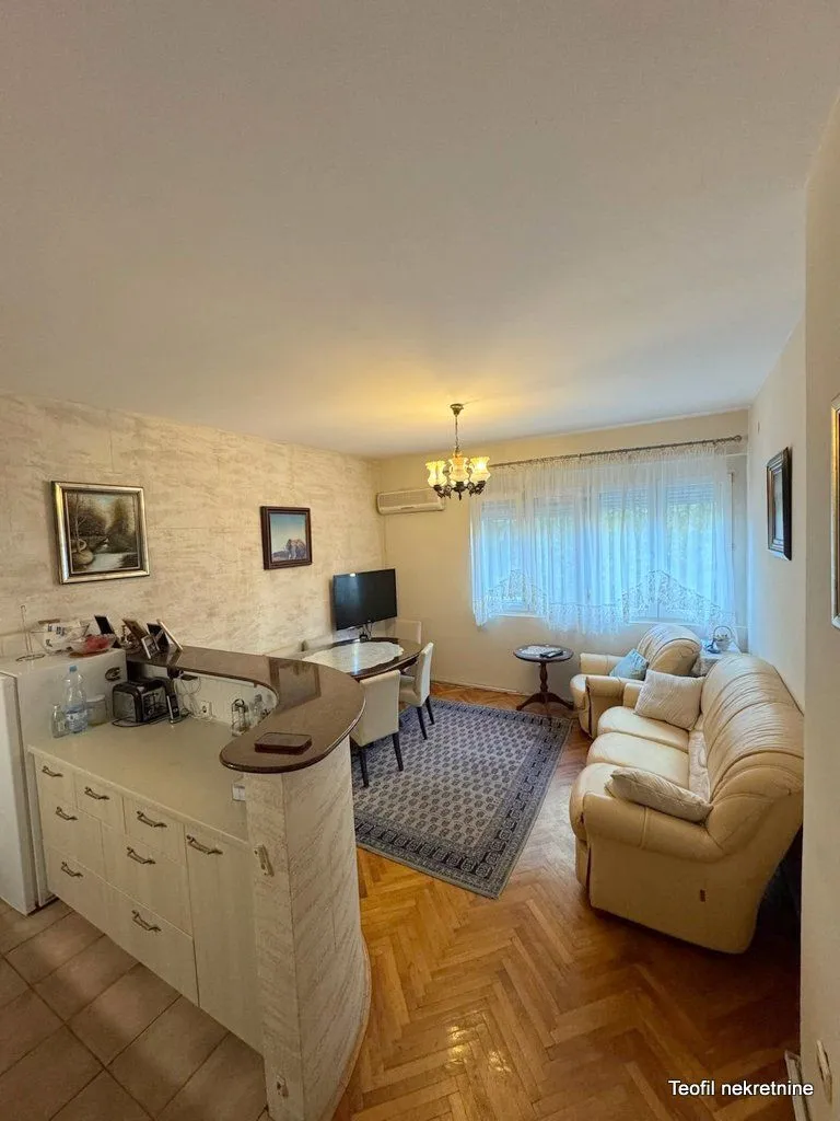 Living room with a seating area, dining table, and a kitchen section.