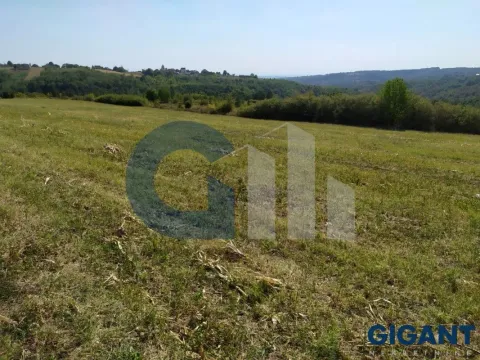 Prodaja, plac, 5000m², Nenadovac, Barajevo - image 10