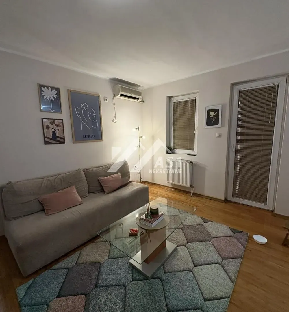 Rent, one bedroom apartment, 45m², Novi Sad Sve Podlokacije, Novi Sad