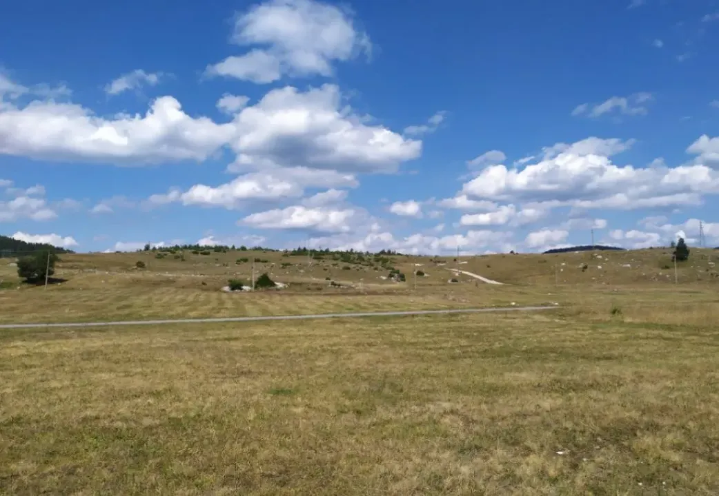 Sale, land lot, 23700m², Njegovuđa, Žabljak