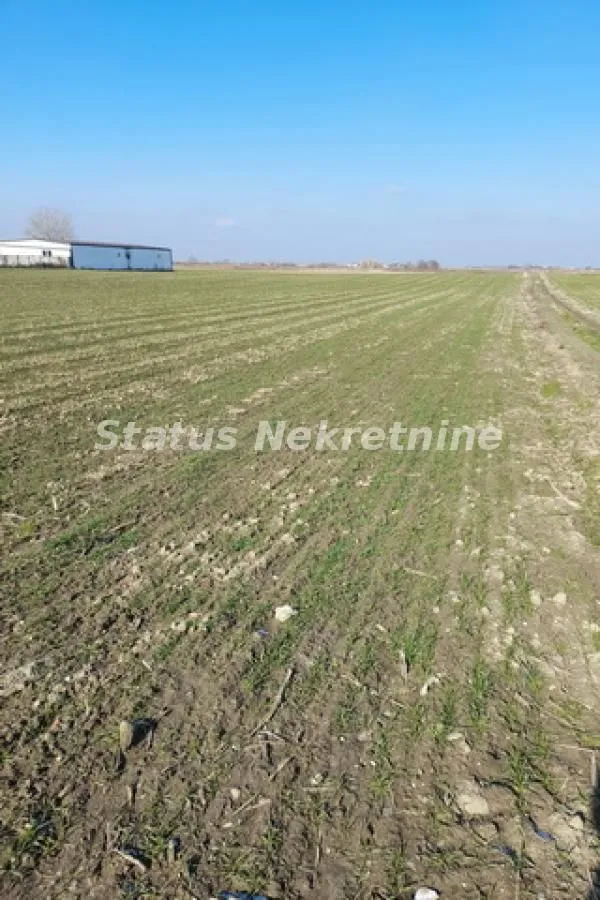 Sale, land lot, 2500m², Futog, Novi Sad Sve Podlokacije