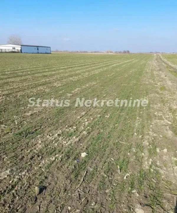Prodaja, plac, 2500m², Futog, Novi Sad Sve Podlokacije